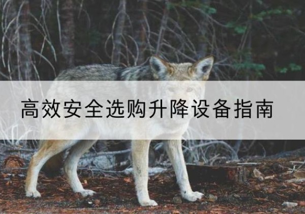 阿拉山口升降货梯厂家推荐-*安全选购升降设备指南
