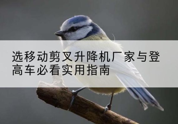 阿拉山口电动升降机厂家-选移动剪叉升降机厂家与登高车必看实用指南